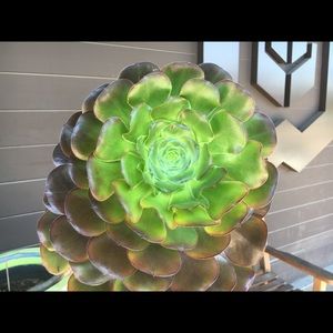 Meet your Posher, Kristina